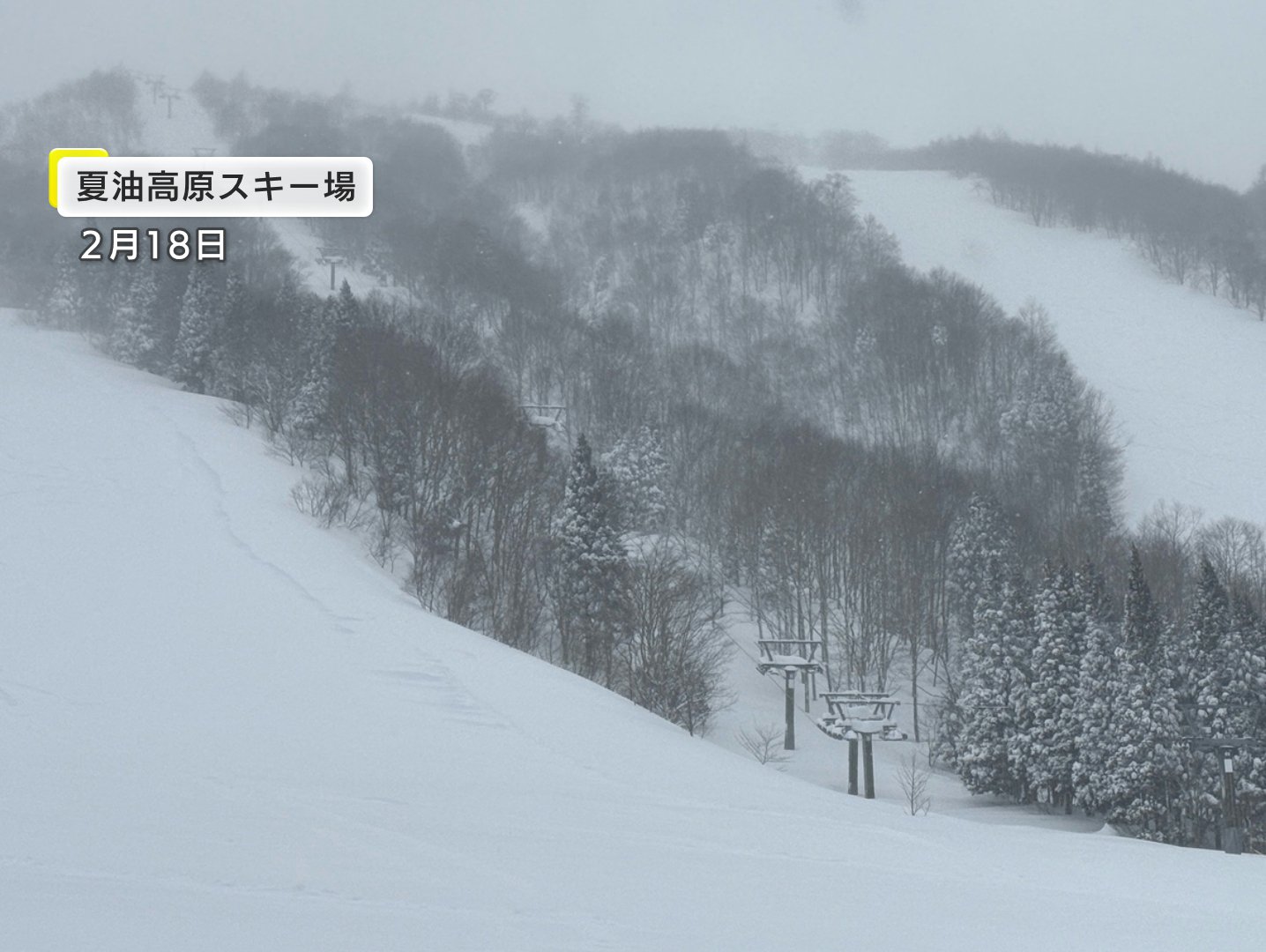 【岩手】スキー場雪崩が発生か　アメリカ人男性１人が雪に埋もれる　呼吸をしていない状態という情報　立ち入り禁止されているエリア